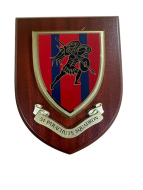 51 Para Squadron, Plaque