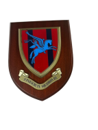 9 Parachute Squadron, Plaque