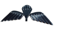 Wings Silver Decal.